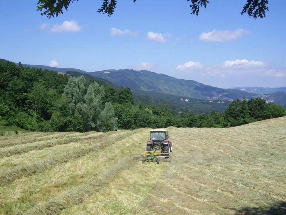 Agriturismo Il Falco Del Monte Fumaiolo Alfero Exterior photo